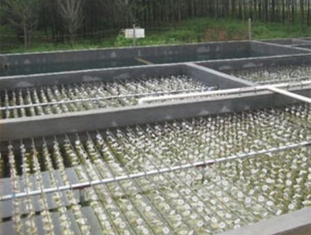 點擊查看詳細信息<br>標題：養殖污水處理 閱讀次數：4226